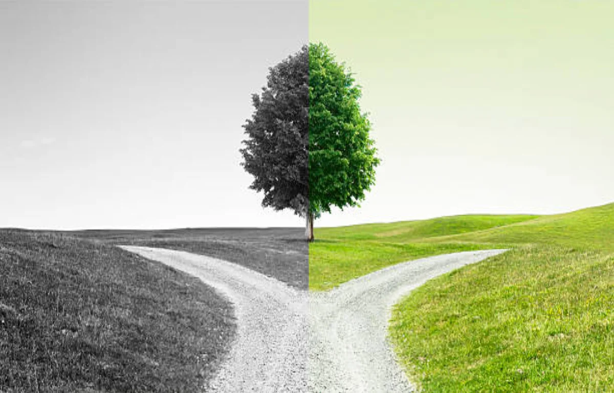 A gravel path splits in two at a solitary tree, one side in black-and-white and the other in color — representing the AI agent build vs. buy decision