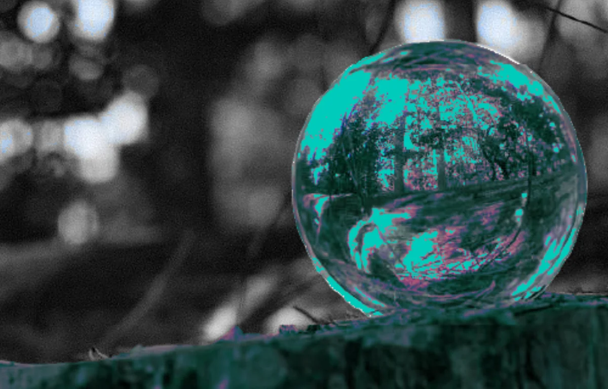 A glass ball balanced on a tree stump, reflecting the forest around it — a metaphor for identifying what cannot break before deploying AI